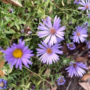 Meet your Posher, Eryn